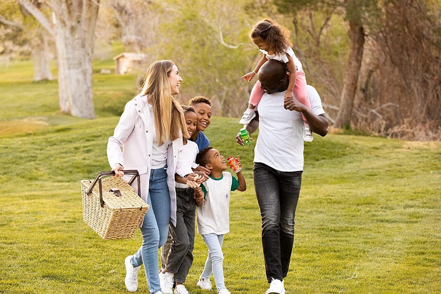 Balance Of Nature Fruit and Vegetable Supplements – 90 Fruits and 90 Veggies Capsules (3-Sets) – Green and Red Superfood, Better Than Multivitamins, No Fillers/Extracts, 100% Natural Whole Food - Image 8