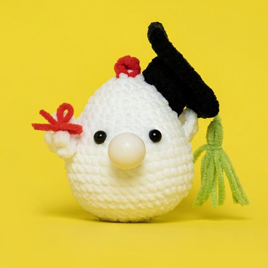 Commemorative Graduation Animals Crochet Kit - Image 17