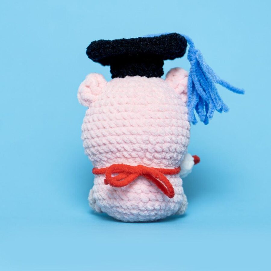Commemorative Graduation Animals Crochet Kit - Image 16