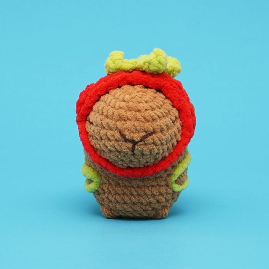 Cute Magnetic Animals Capybara Bee Little Fish Love Bear Crochet Kit - Image 3