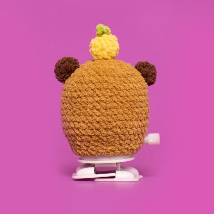 Cute Walking Capybara Crochet Kit - Image 4